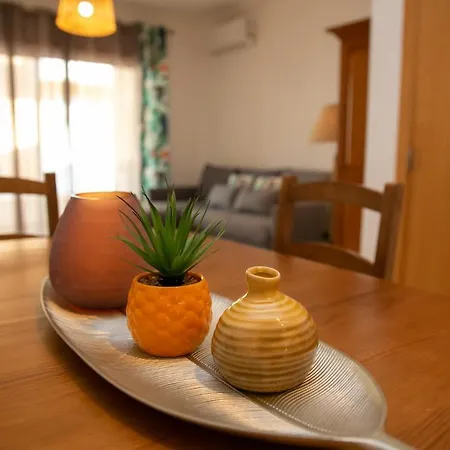 Joana's House 别墅